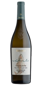 Sabalo Organic