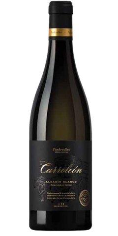 carroleon-blanco