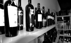 Vino Santi